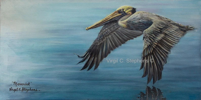 Maverick pelican artwork by Virgil C. Stephens
